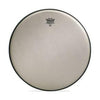 10" Remo Renaissance Ambassador